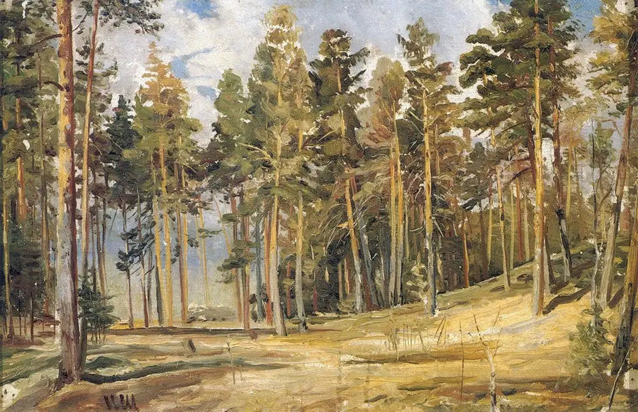Pinos. Dia ensolarado - Ivan Chichkine