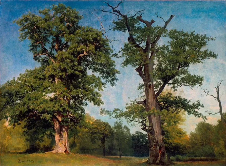 Pioneiros das Florestas, Califórnia - Albert Bierstadt