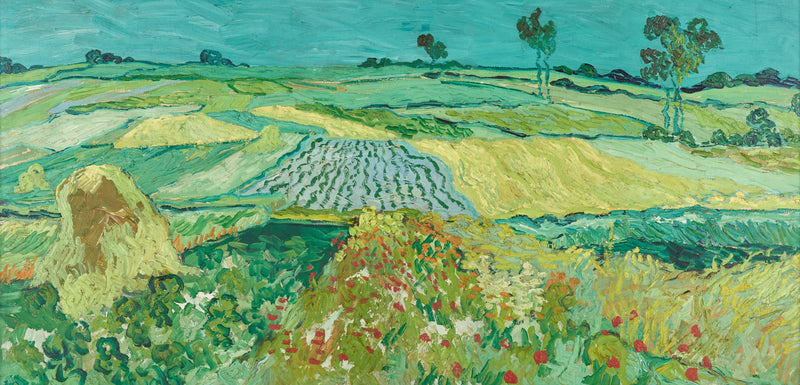 A planície de Auvers - Vincent van Gogh