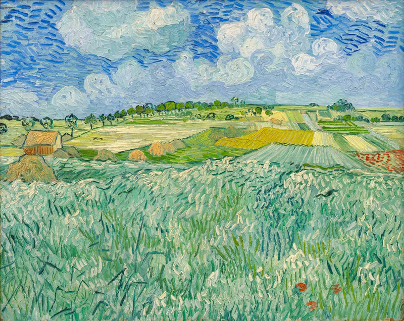 Planície perto de Auvers - Vincent van Gogh