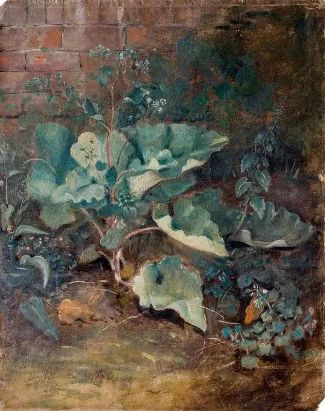 Plantas crescendo perto de uma parede - John Constable