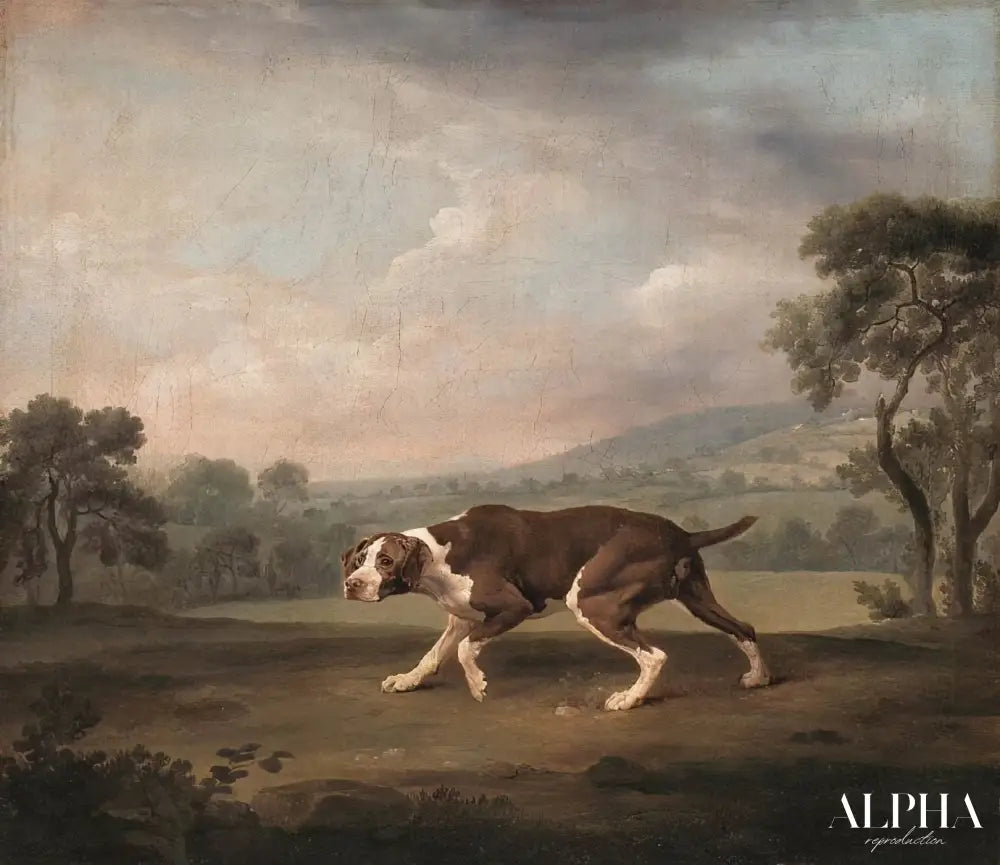 Pointeur espagnol - George Stubbs - Reproductions de tableaux et peintures haut de gamme