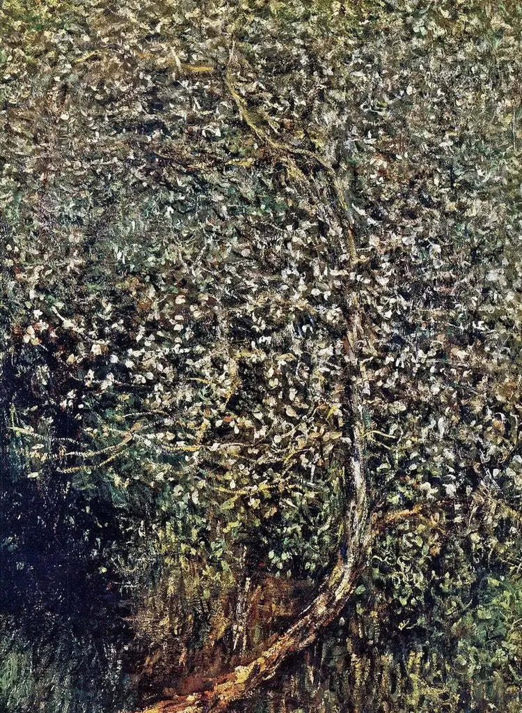Macieiras em flor à beira da água - Claude Monet