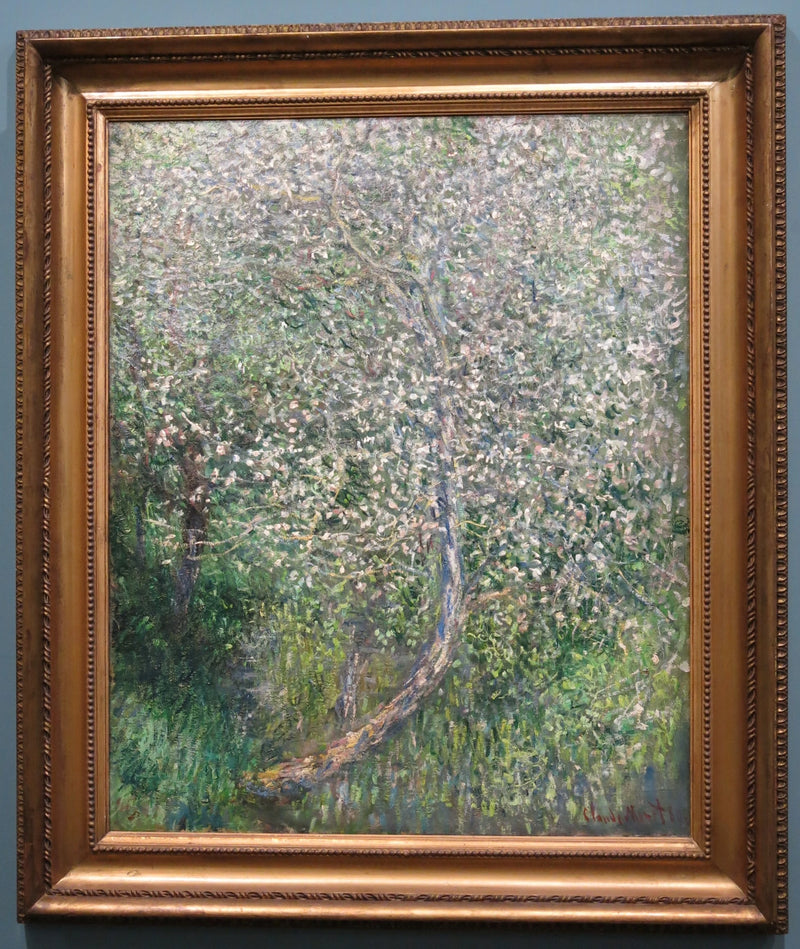 Macieira em flor pela água W585 - Claude Monet