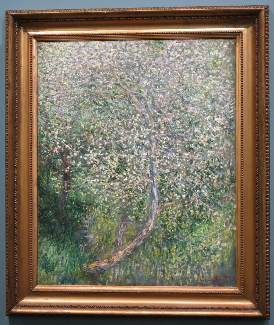 Macieira em flor pela água W585 - Claude Monet