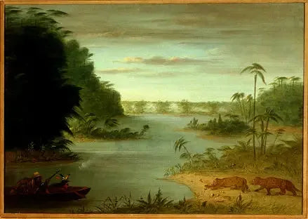Ponte de Palmiers e Tiro ao Tigre - George Catlin
