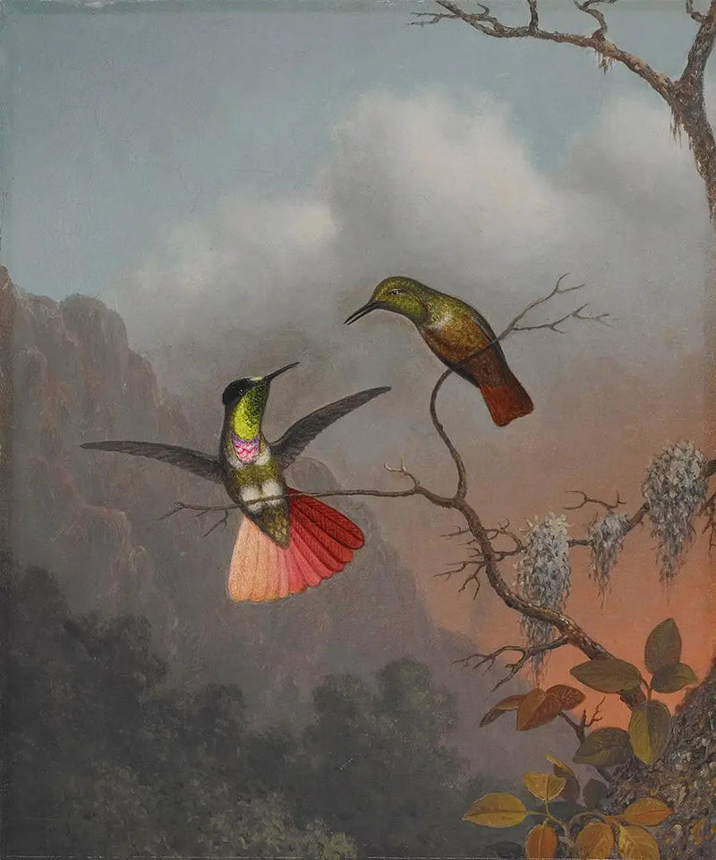 Portador de viseira com capuz - Martin Johnson Heade