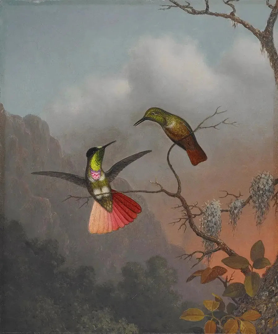 Portador de viseira com capuz - Martin Johnson Heade