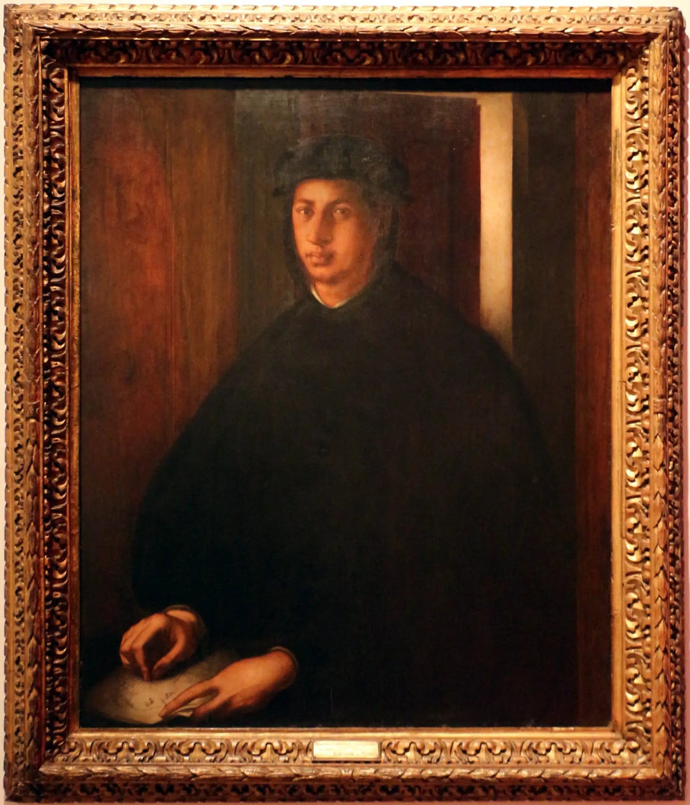 Portrait d'Alexandre de Médicis - Pontormo image 1 reproduction de peinture à l’huile