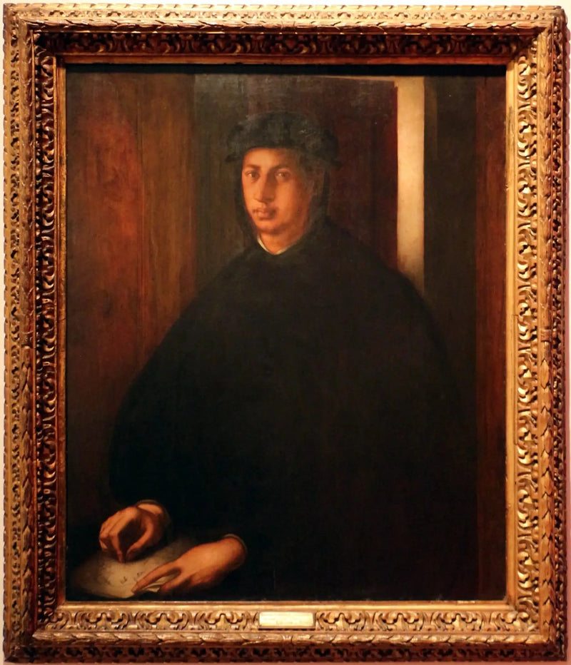 Retrato de Alexandre de Médicis - Pontormo