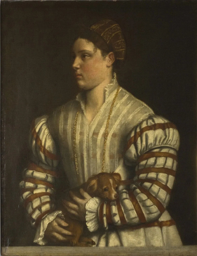 Retrato de Eleonora Averoldi - Alessandro Bonvicino