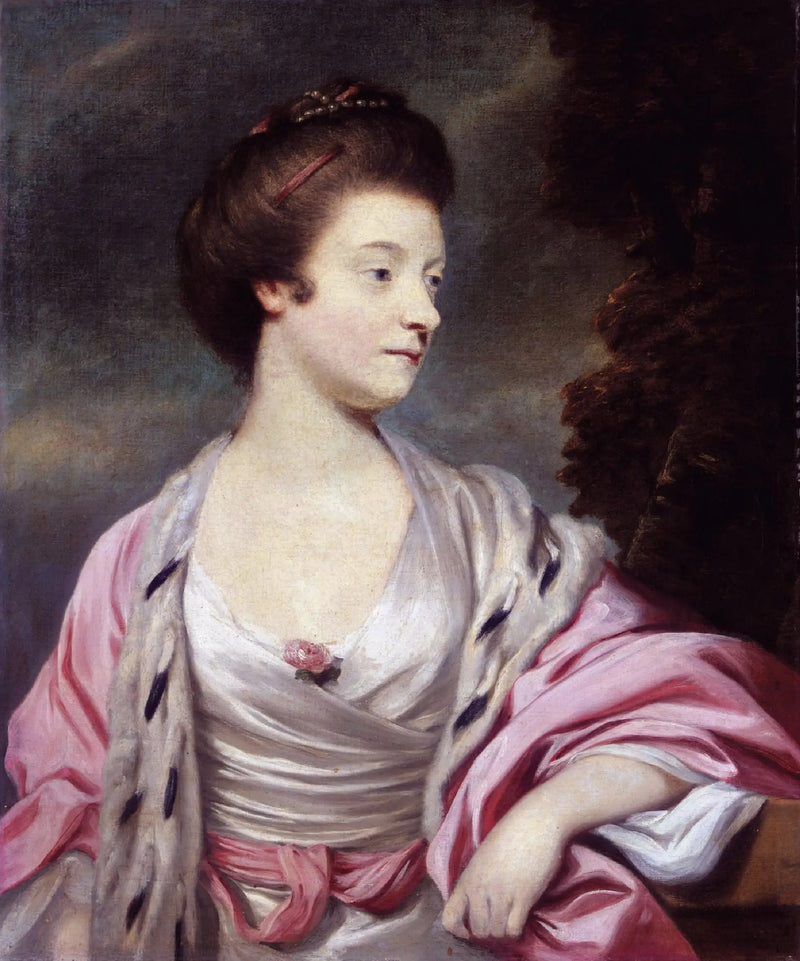 Retrato de Elizabeth, Lady Amherst (1740-1830) (nascida Elizabeth Cary) - Joshua Reynolds