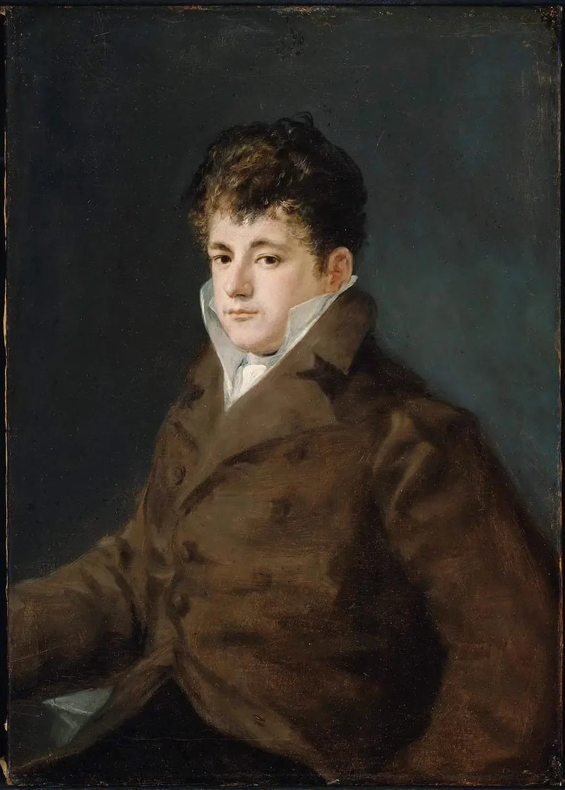 Retrato de um jovem em marrom, talvez Javier Goya - Francisco de Goya