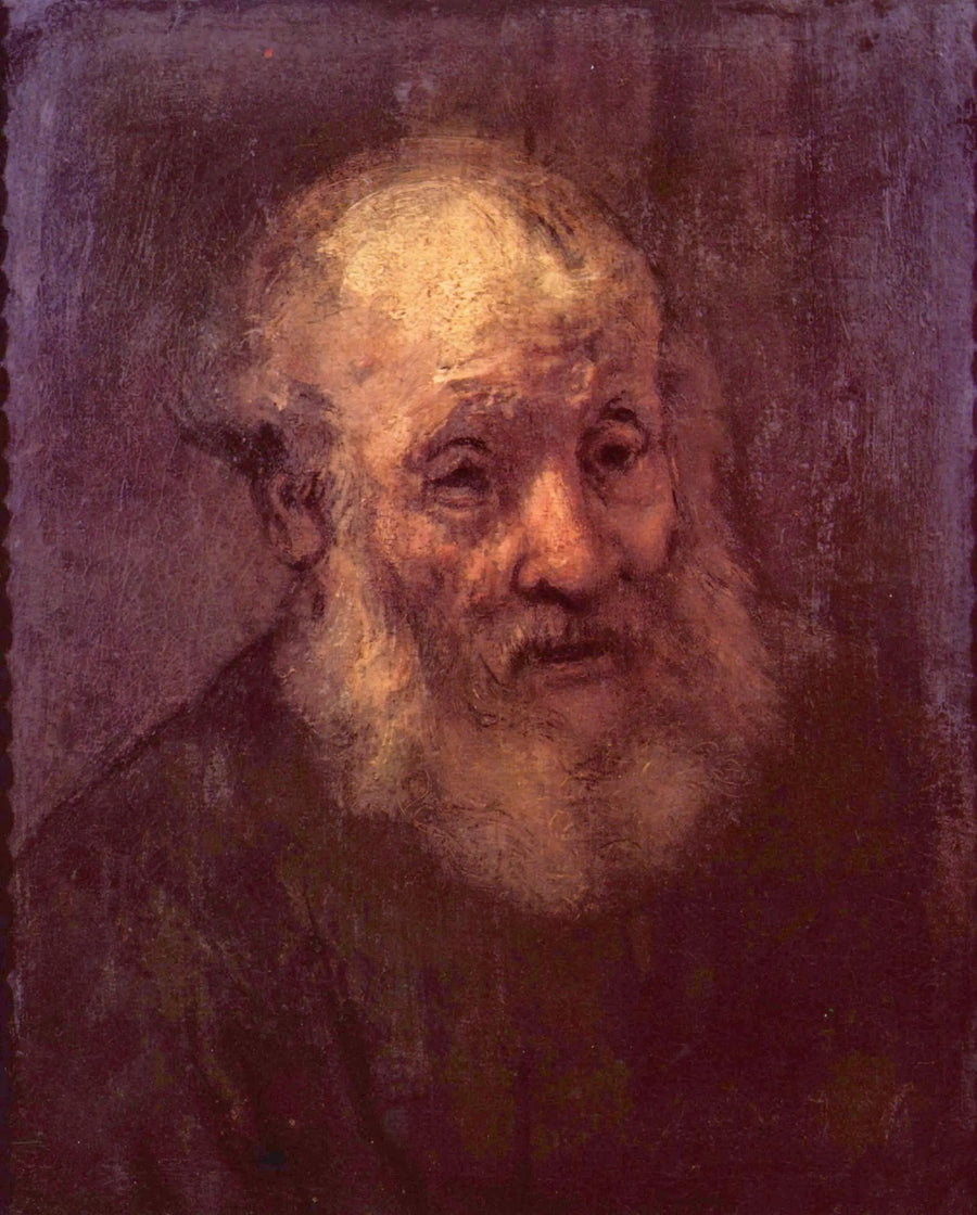 Retrato de um velho homem barbudo - Rembrandt