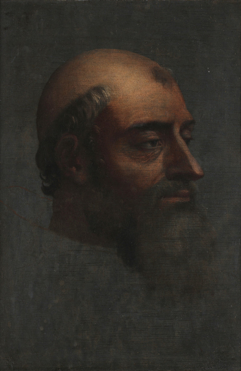 Retrato de Clemente VII com barba - Sebastiano del Piombo