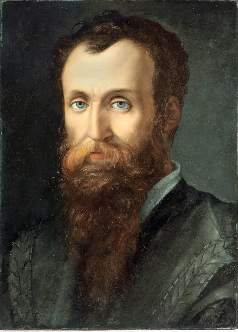 Retrato de Luca Martini - Bronzino