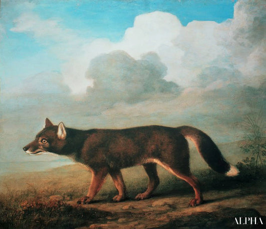 Portrait d'un grand chien de Nouvelle-Hollande (Dingo) - George Stubbs - Reproductions de tableaux et peintures haut de gamme