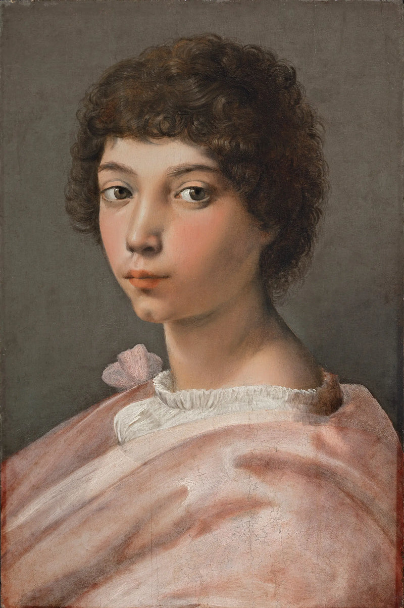 Retrato de um jovem - Raphaël Sanzio