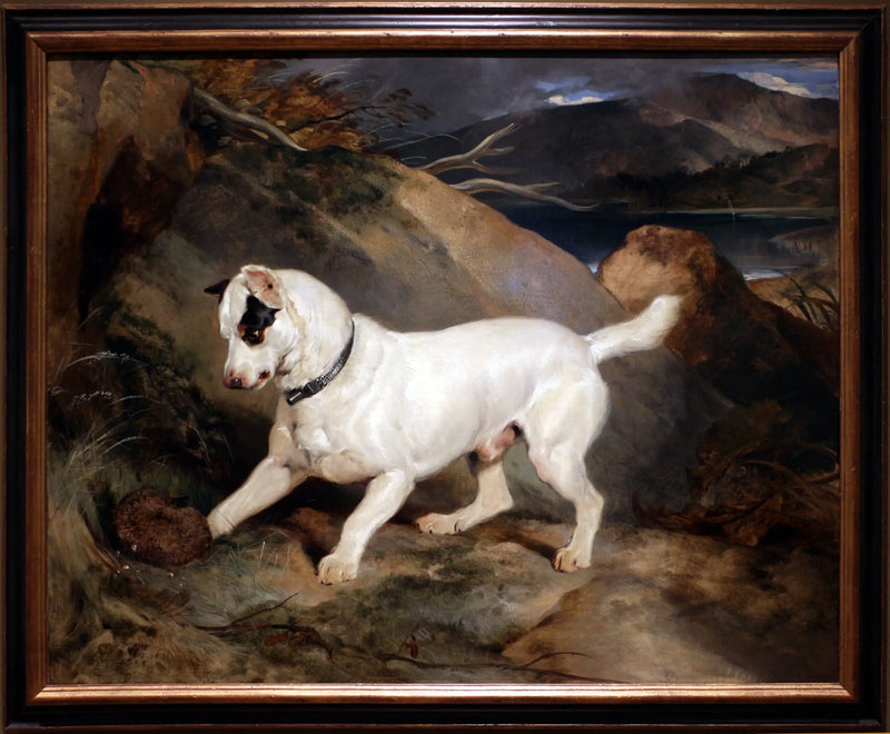 Retrato de um terrier, propriedade de Owen Williams, ESQ., deputado (Jocko com um ouriço) - Edwin Henry Landseer