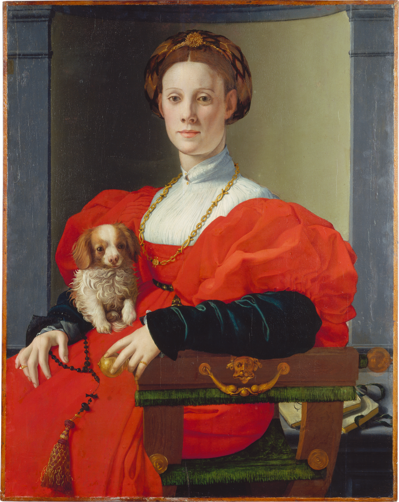 Retrato de uma dama com um cachorro de estimação - Bronzino