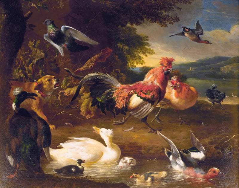 Galinhas e patos - Melchior de Hondecoeter