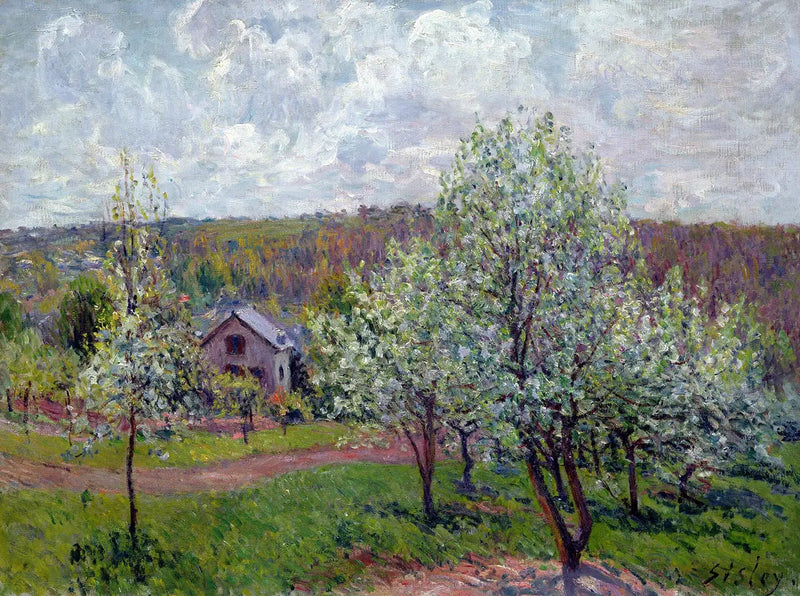 Primavera nos arredores de Paris. Macieiras em flor - Alfred Sisley