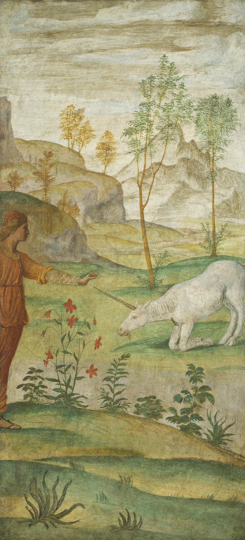 Procris e o Unicórnio - Bernardino Luini