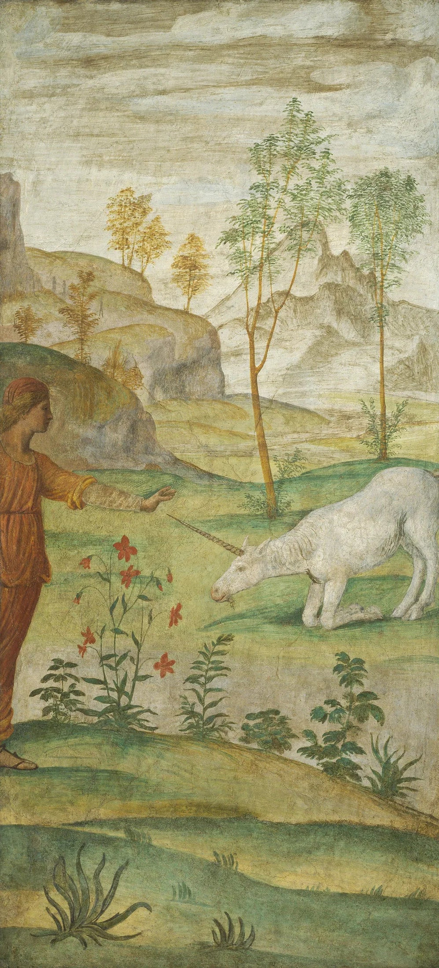 Procris e o Unicórnio - Bernardino Luini