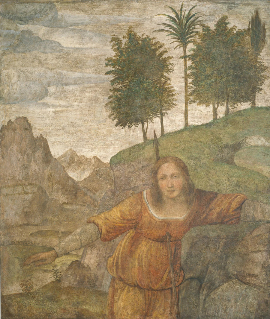 Procris atingida pelo dardo de Céfalo - Bernardino Luini