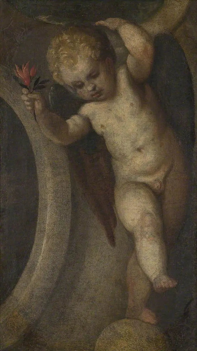 Putto com uma flor vermelha - Paulo Véronèse
