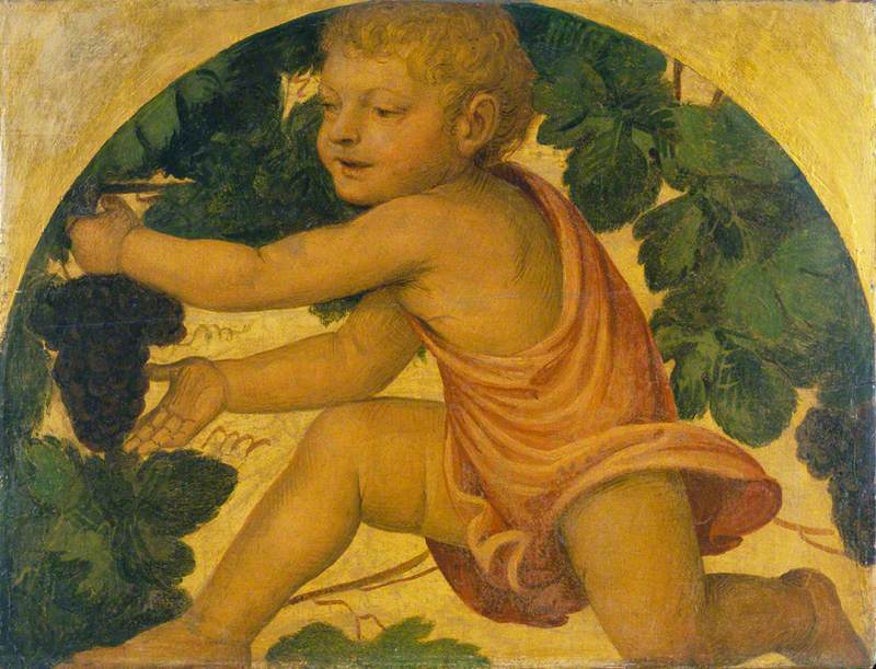 Putto colhendo uvas - Bernardino Luini