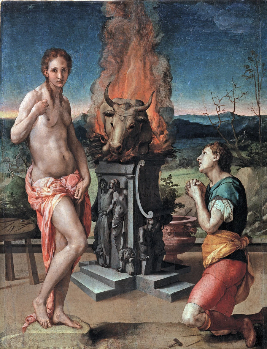 Pigmalião e Galatéia - Bronzino