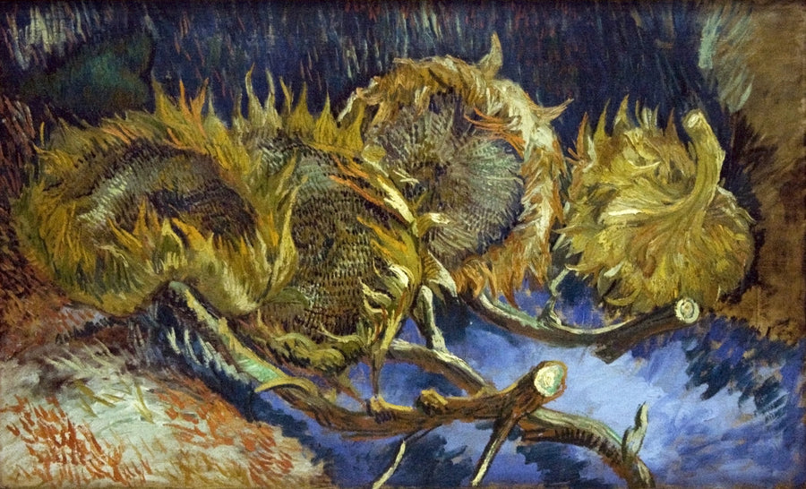Quatro girassóis murchos - Vincent van Gogh