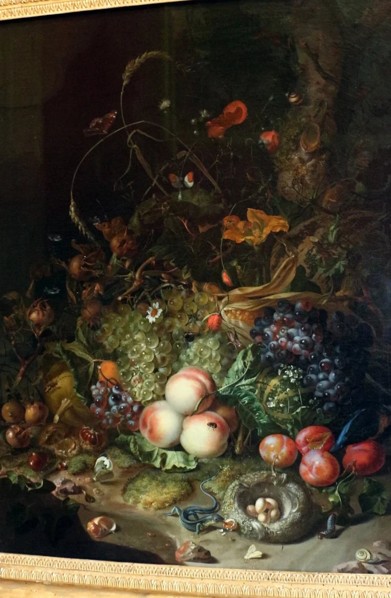 Fruits, fleurs, reptiles et insectes - Rachel Ruysch