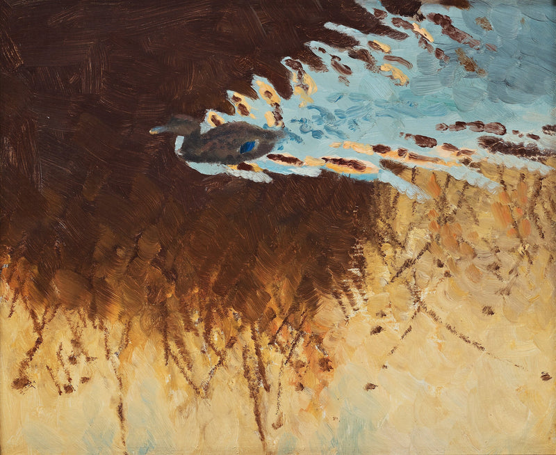 reflets de canards et d'eau - Bruno Liljefors