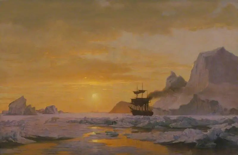 regiões árticas - William Bradford