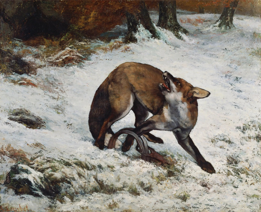 Raposa presa em uma armadilha - Gustave Courbet