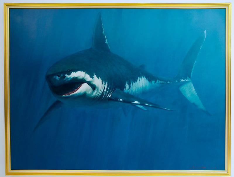 Tubarão | 150 x 200 cm