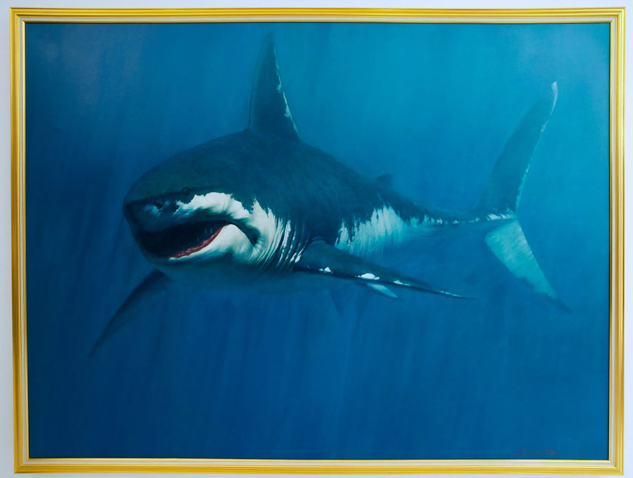 Tubarão | 150 x 200 cm