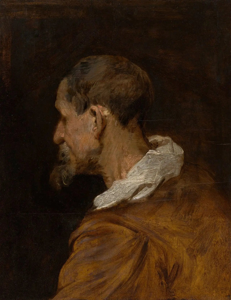 Responsável pelo estudo - Antoine van Dyck