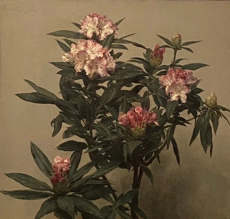 Rododendros - Henri Fantin-Latour