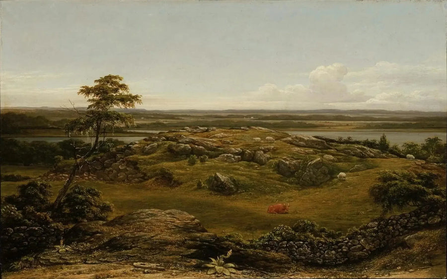 Pedras na Nova Inglaterra - Martin Johnson Heade