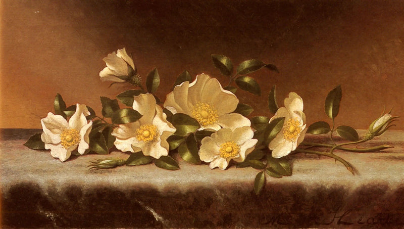 Rosas Cherokee em tecido cinza claro - Martin Johnson Heade