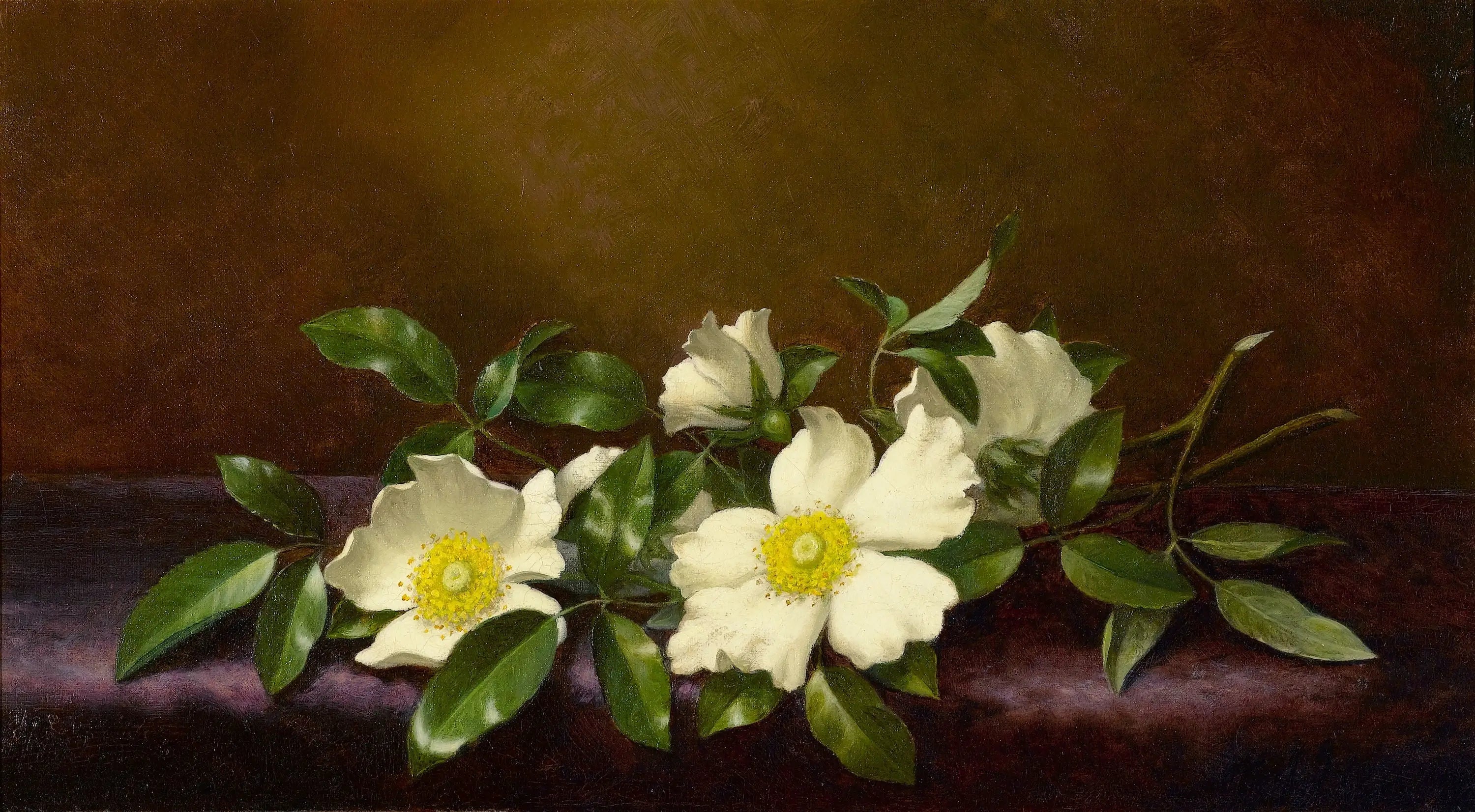 Roses Cherokee sur un tissu violet - Martin Johnson Heade image 1 copie peinte à la main à l’huile