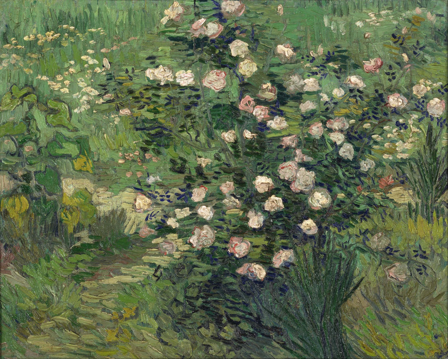 Rosas - Vincent van Gogh