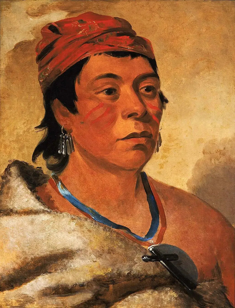 Ilha Redonda, um guerreiro - George Catlin