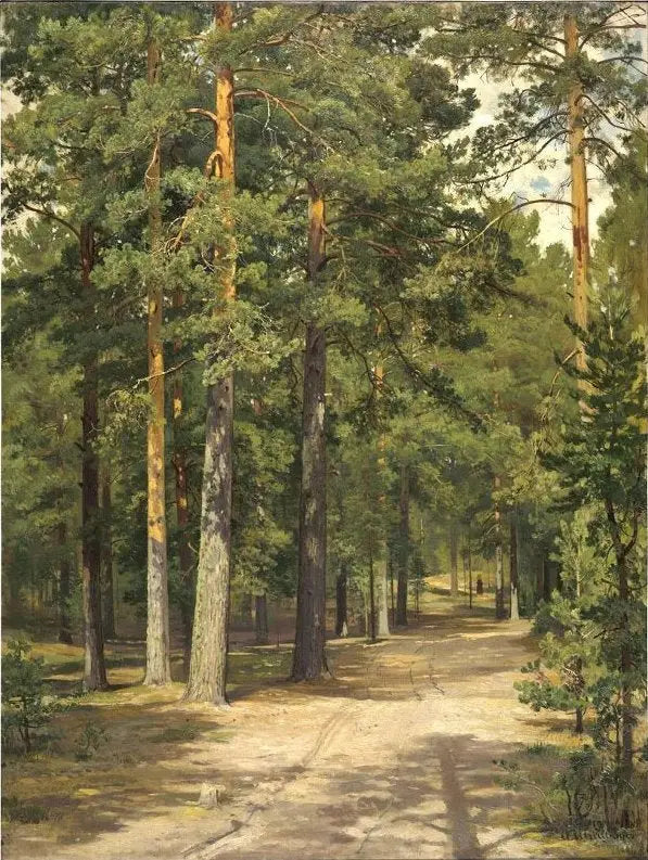Caminho na floresta de pinheiros - Ivan Chichkine