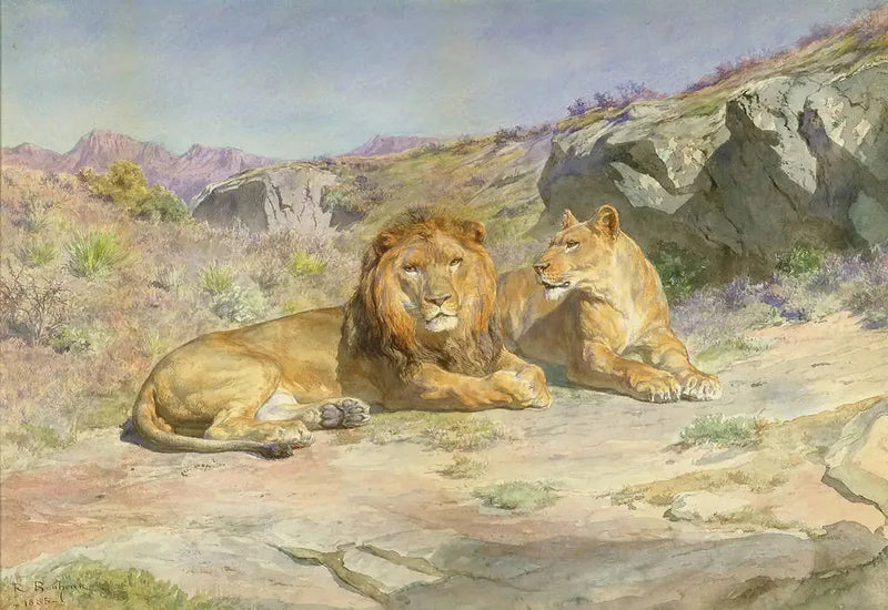 Royale em casa - Rosa Bonheur
