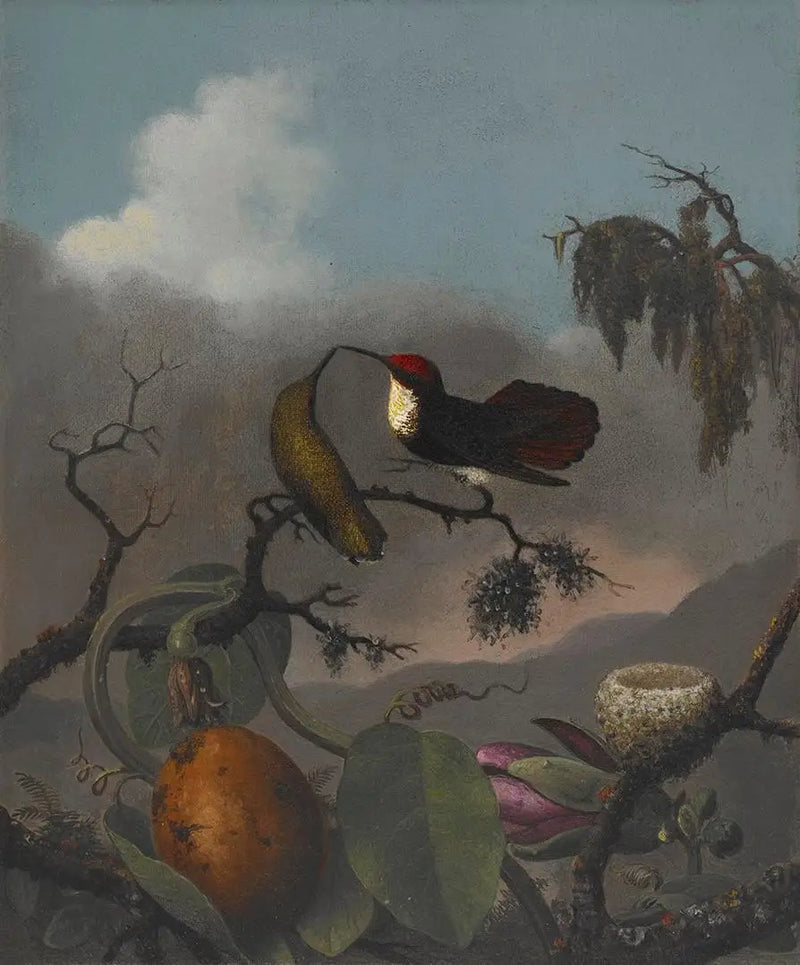 Rubi-Ametista - Martin Johnson Heade