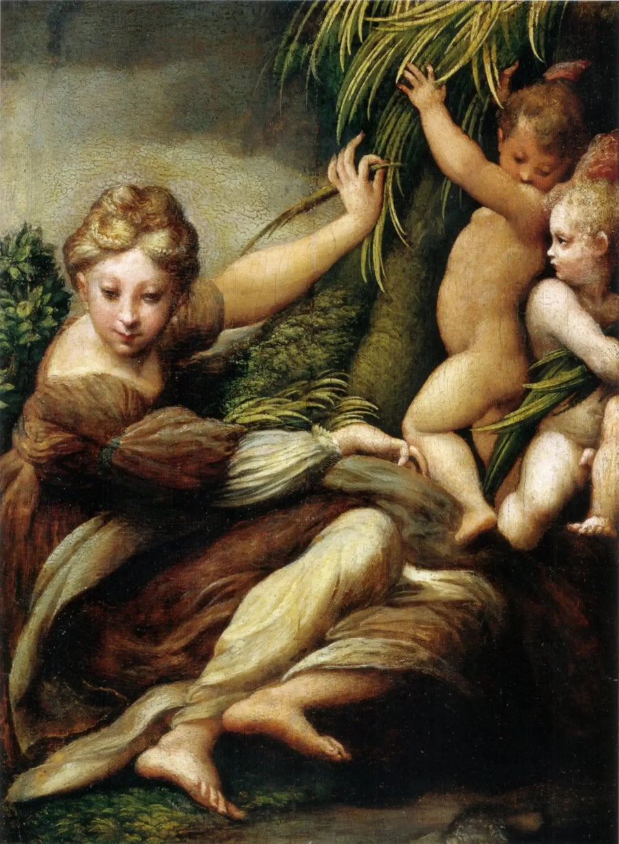 São com dois anjos - Parmigianino